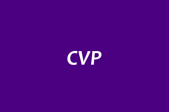 Technology Solutions Firm CVP