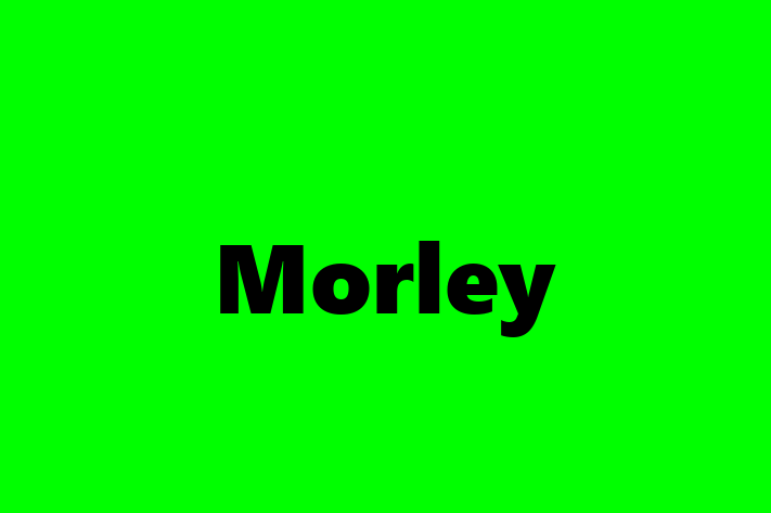 Employee Resource Management Morley