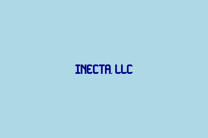 Digital Solutions Provider INECTA LLC