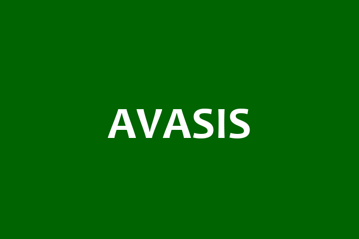 Technology Solutions Firm AVASIS