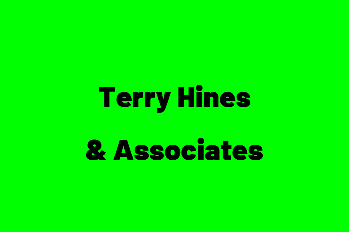 Digital Solutions Provider Terry Hines  Associates