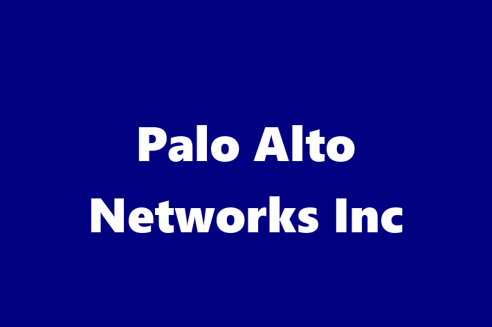 Software Consultancy Palo Alto Networks Inc