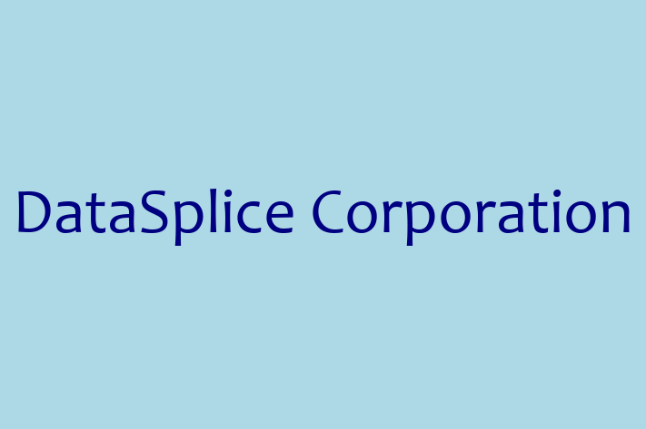 Technology Company DataSplice Corporation