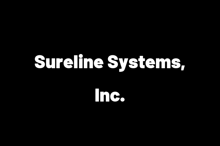 Software Development Firm Sureline Systems Inc.