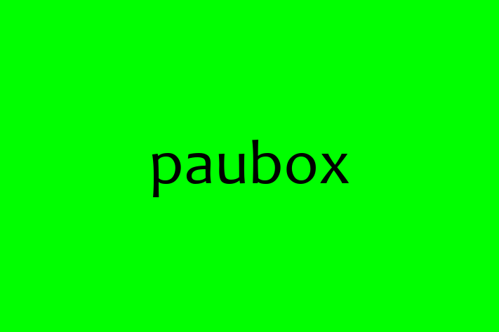 Software Consultancy paubox