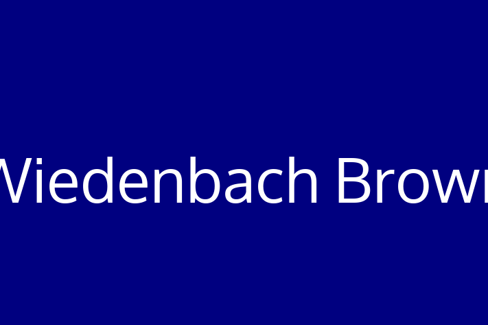 Software Development Firm Wiedenbach Brown