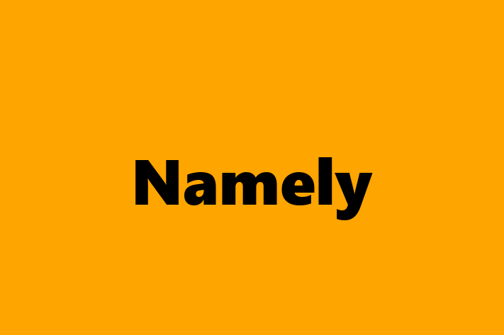 Software Firm Namely