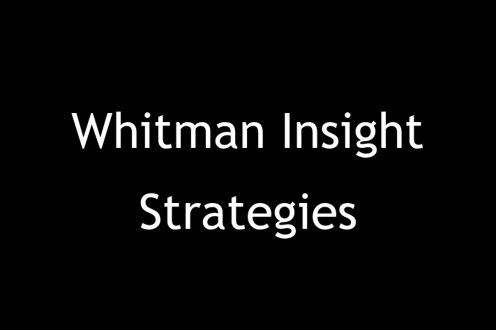 Software Solutions Provider Whitman Insight Strategies