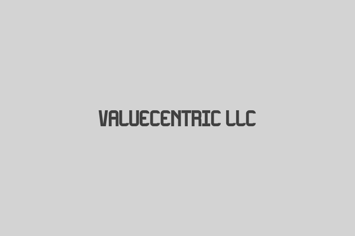 Software Development Company ValueCentric LLC