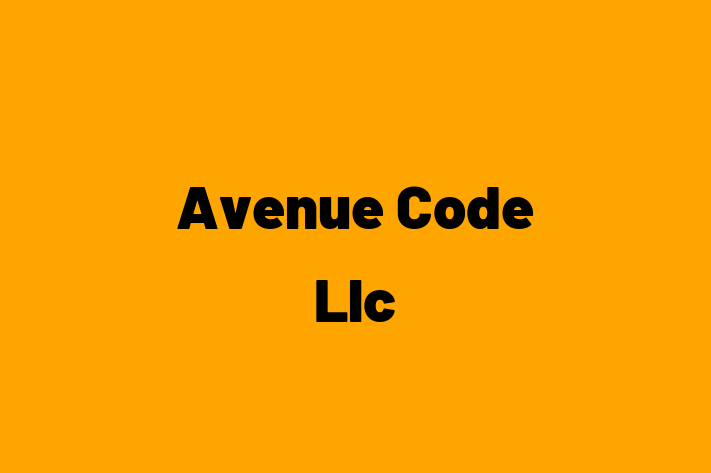 Software Development Company Avenue Code Llc