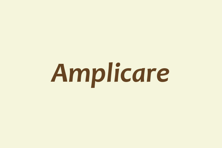 Application Development Company Amplicare