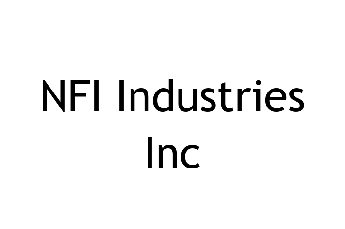 Software Consultancy NFI Industries Inc