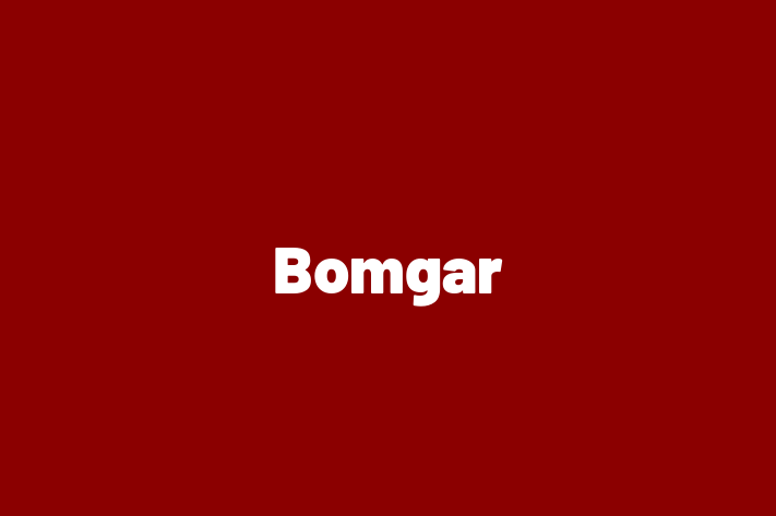 IT Company Bomgar