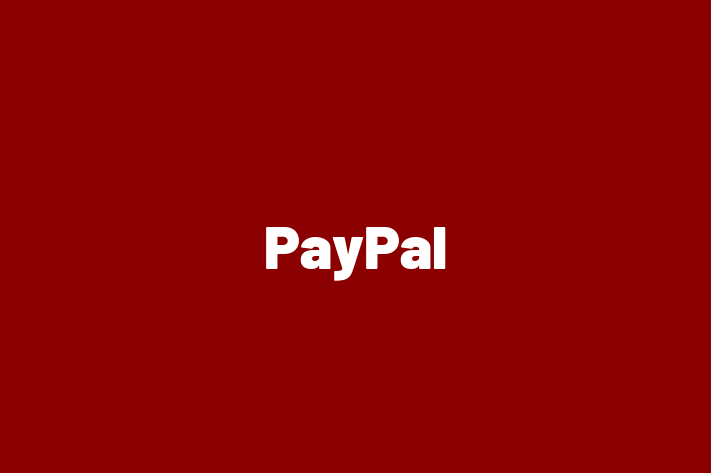 Software Consultancy PayPal