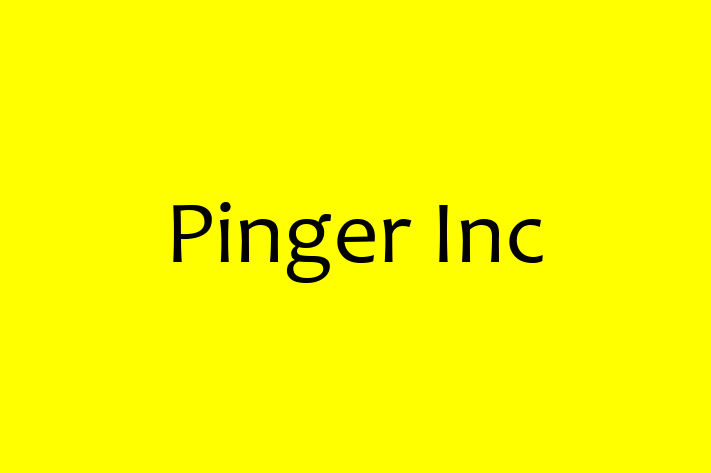 Digital Solutions Provider Pinger Inc