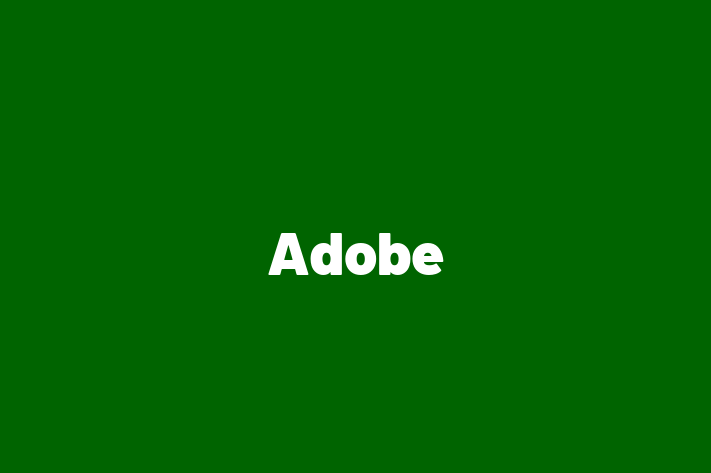 Software Consultancy Adobe