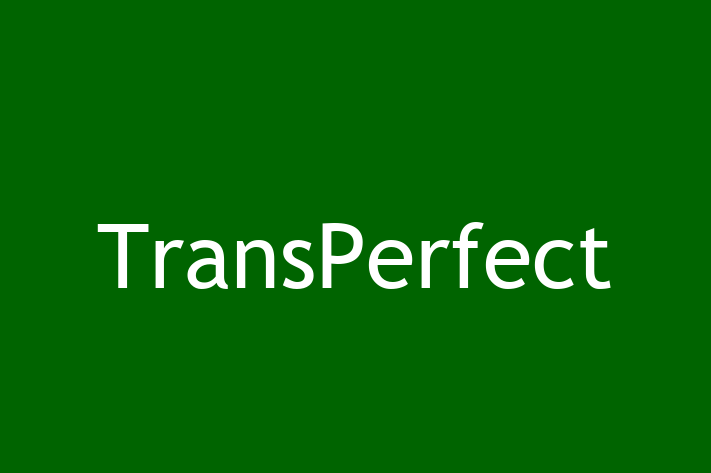 Application Development Company TransPerfect