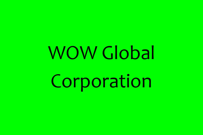 Digital Solutions Provider WOW Global Corporation