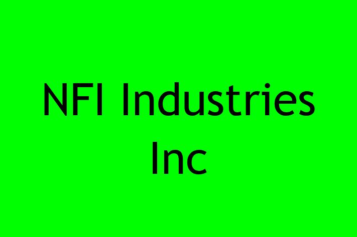 Software Engineering Company NFI Industries Inc