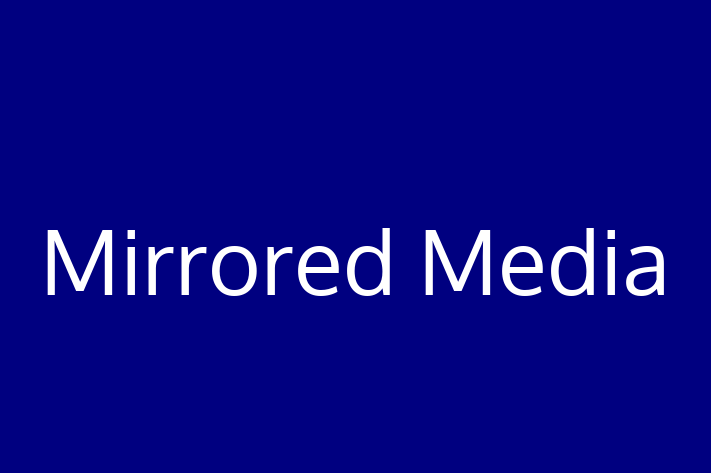 IT Company Mirrored Media