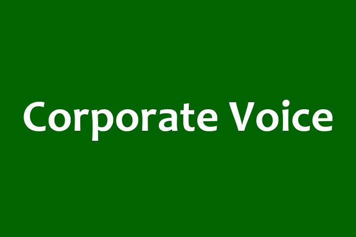 Technology Solutions Firm Corporate Voice