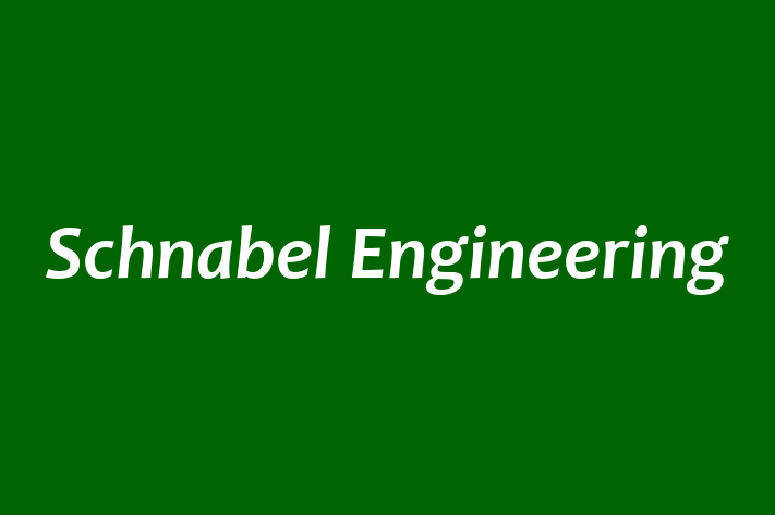 Employee Relations Schnabel Engineering