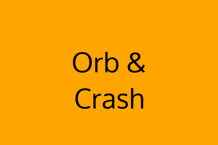 Software Engineering Company Orb  Crash