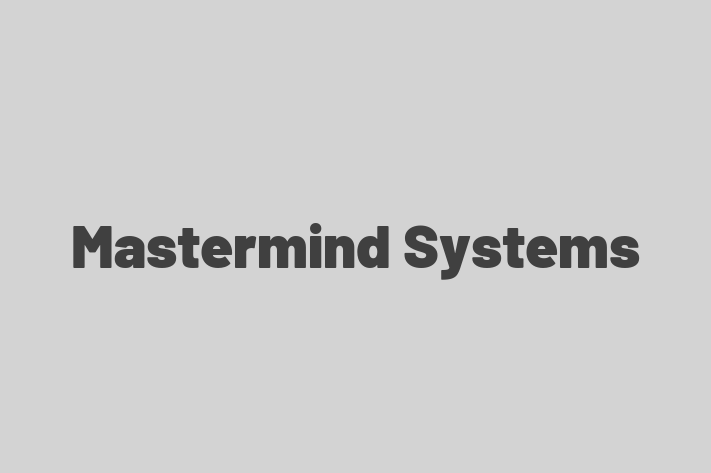 Software Engineering Company Mastermind Systems