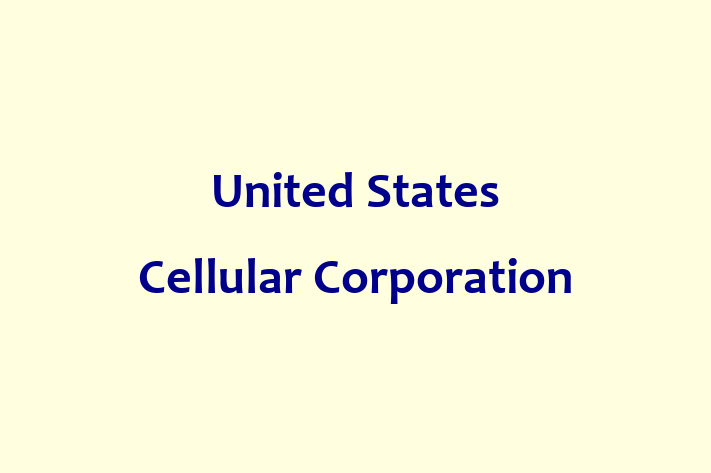 Software Services Company United States Cellular Corporation