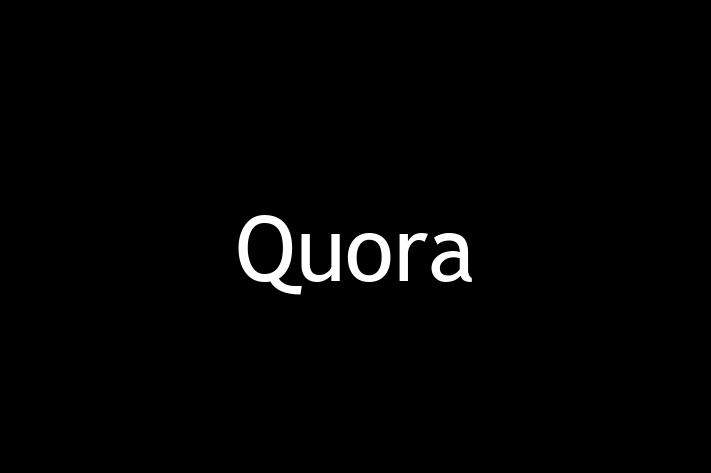 Tech Solutions Company Quora