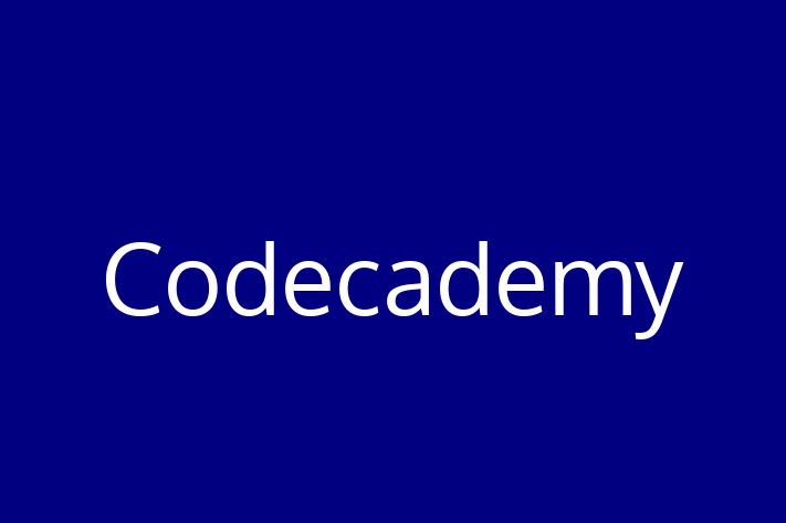 Application Development Company Codecademy