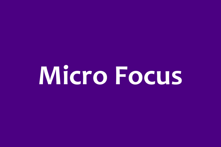 Application Development Company Micro Focus