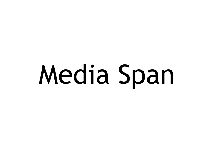 Software Services Company Media Span