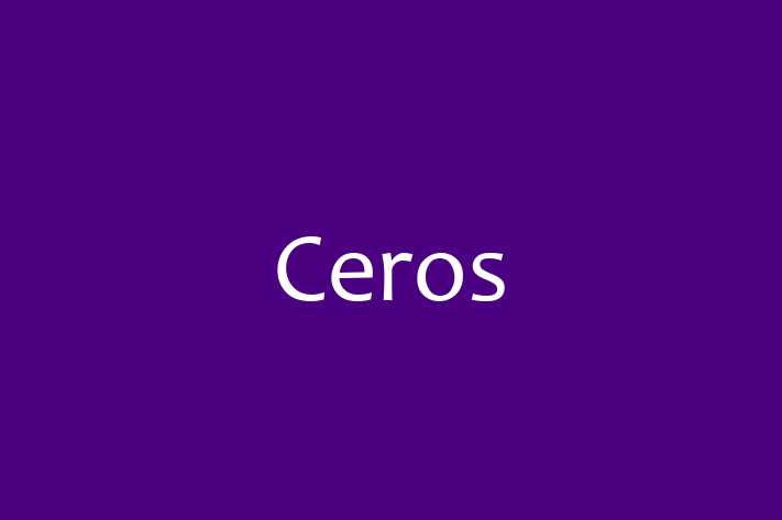 Software Firm Ceros