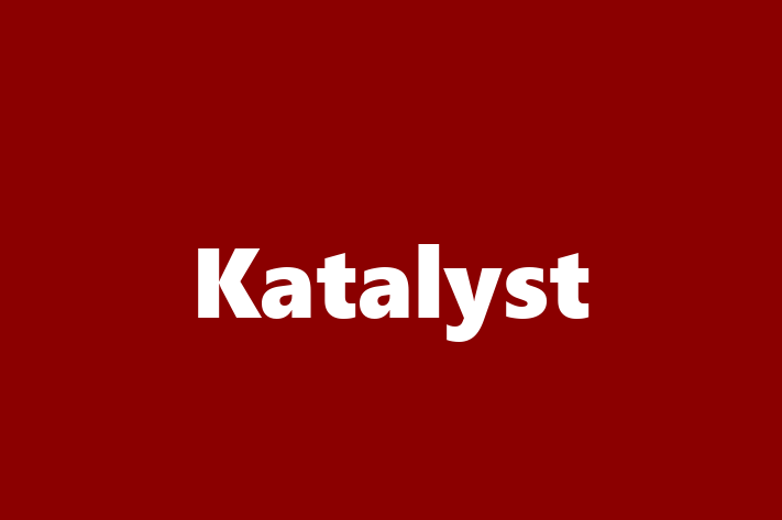 Software Services Company Katalyst