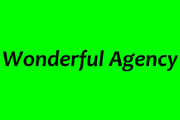 Software Firm Wonderful Agency