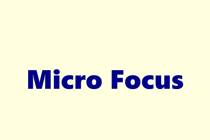 Technology Solutions Firm Micro Focus