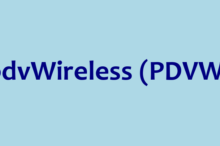 Software Development Firm pdvWireless PDVW