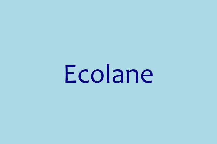 Application Development Company Ecolane