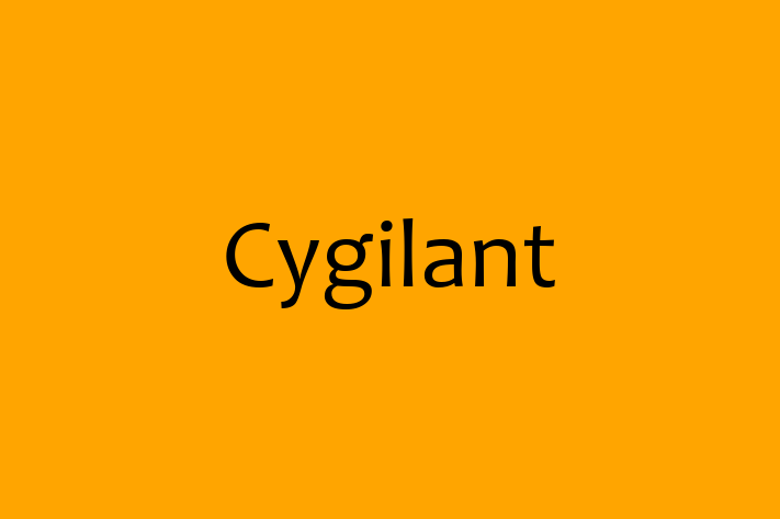 Technology Company Cygilant