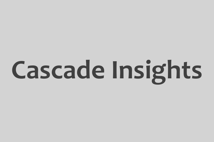 Software Consultancy Cascade Insights