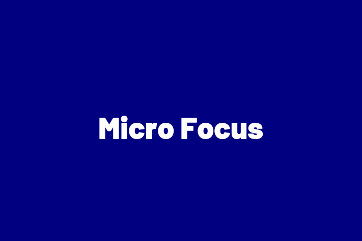 Application Development Company Micro Focus