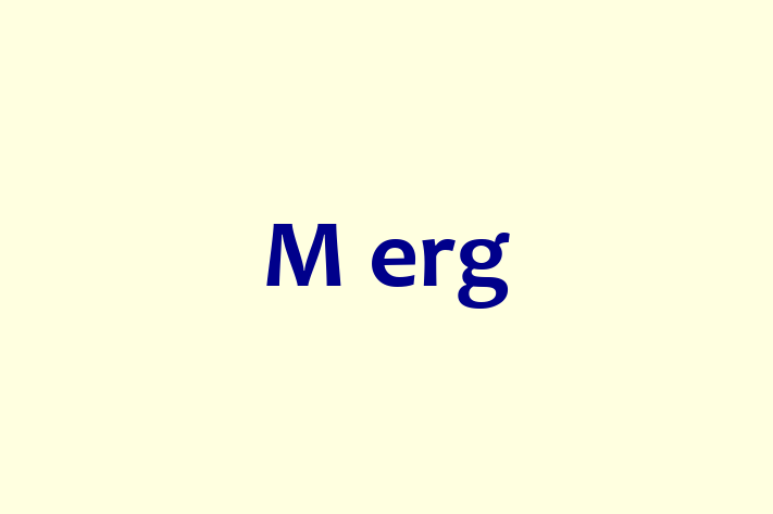 Application Development Company M erg