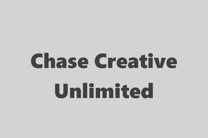 Application Development Company Chase Creative Unlimited