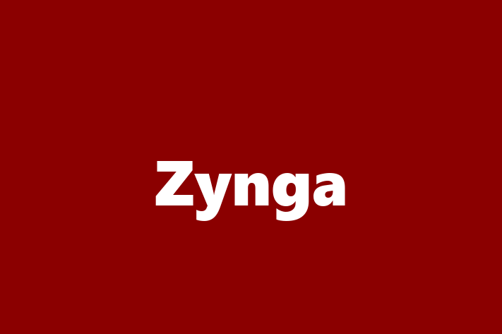 Software Solutions Provider Zynga