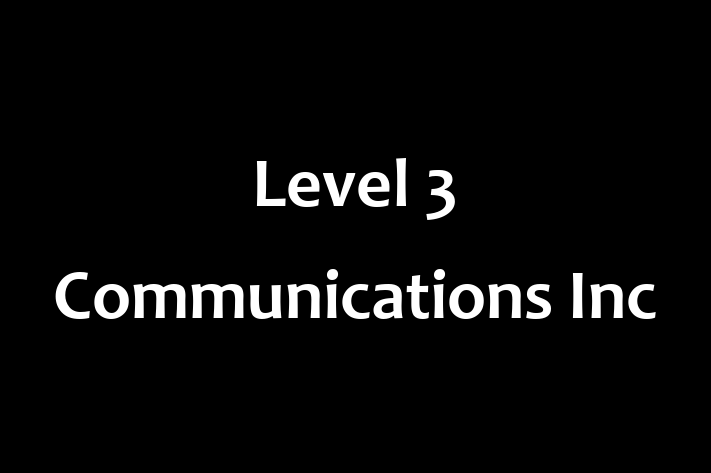 Software Consultancy Level 3 Communications Inc