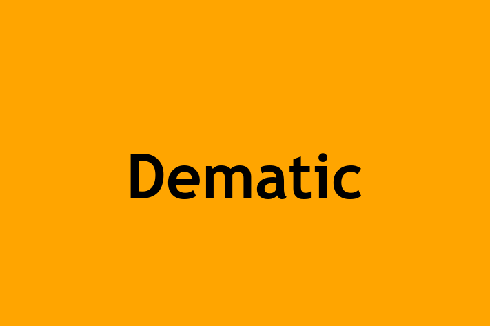 Human Capital Management Dematic