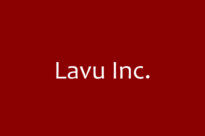 Application Development Company Lavu Inc.