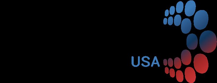 Tech Solutions Company DATALAB USA