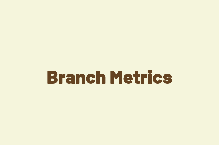 Software Engineering Company Branch Metrics